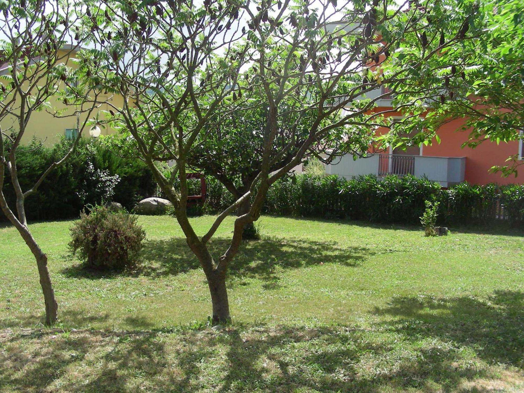 Pier Delle Vigne B&B Pineto Exterior foto
