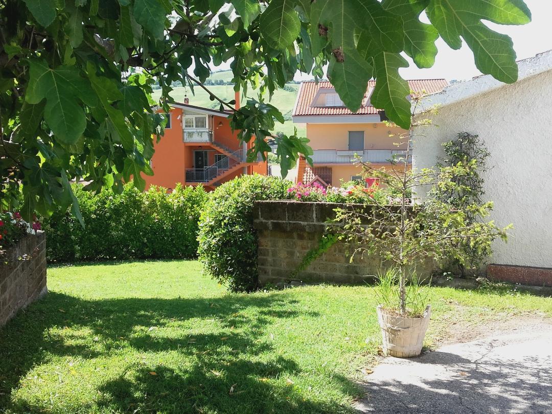Pier Delle Vigne B&B Pineto Exterior foto